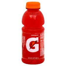 Gatorade 20 oz - Fruit Punch - Case of 24