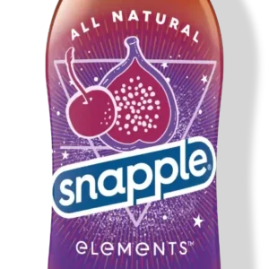 Snapple 16 oz Plastic Bottle  Earth - Case of 24